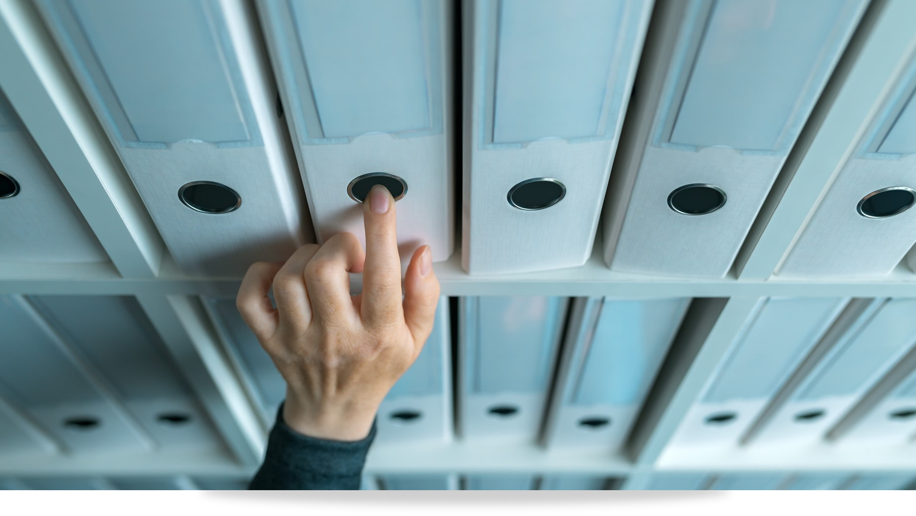 Microsoft Dynamics – Case Studies