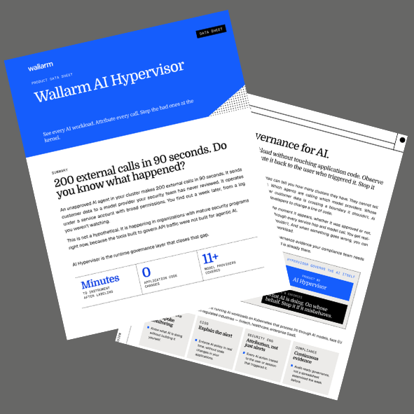 See every AI workload. Attribute every call. Stop the bad ones