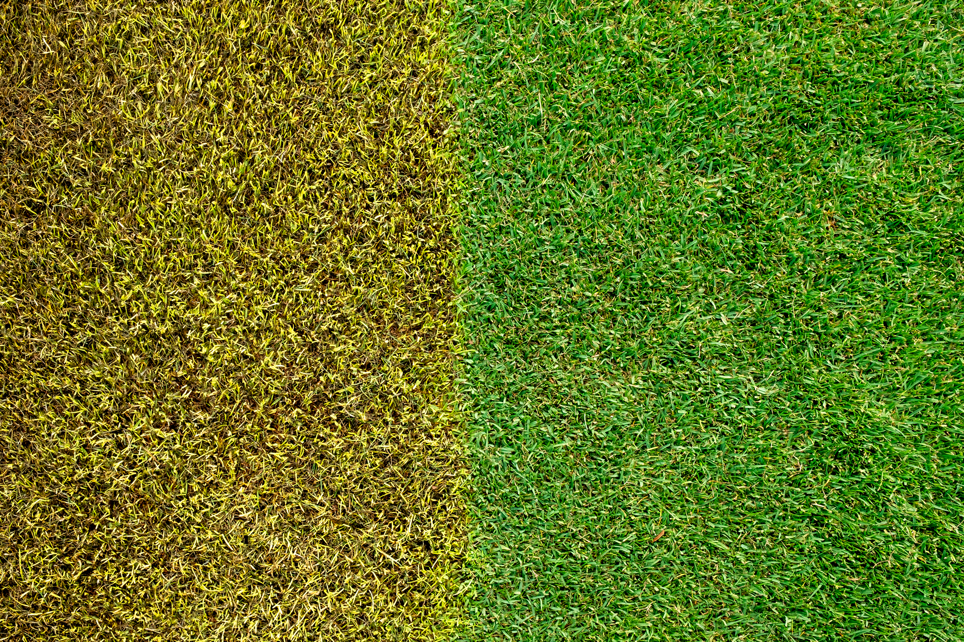 B2B vs B2C Digital Commerce