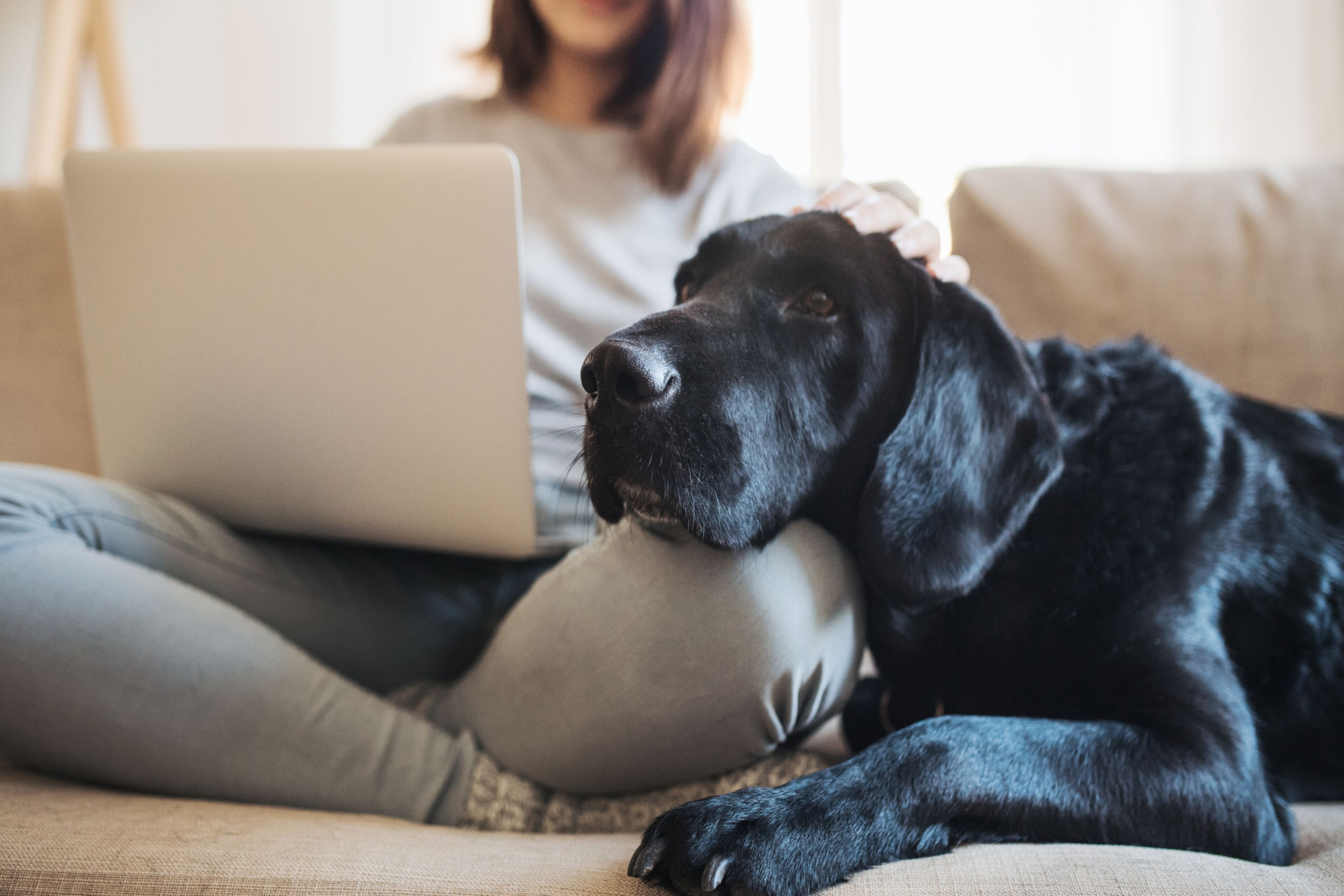 Secure Homeworking with McAfee & Deep Secure 